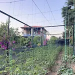 Hotel Tiny Datça