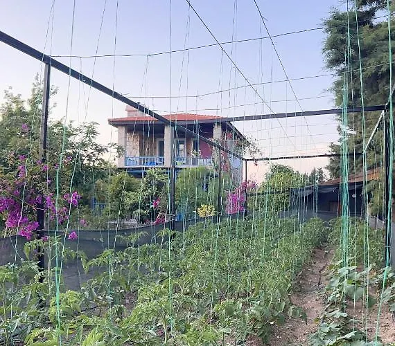 Szálloda Tiny Datça